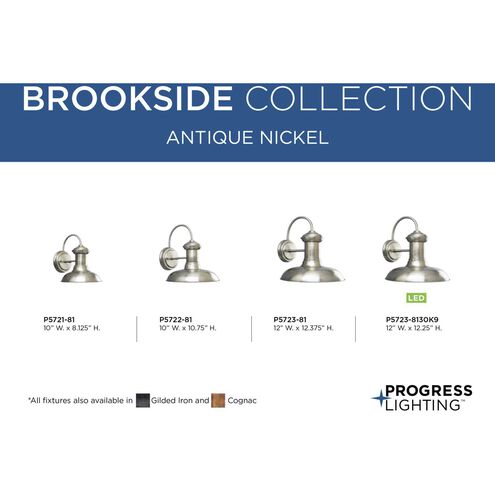 Brookside 1 Light 12 inch Antique Nickel Outdoor Wall Lantern in Standard, Large